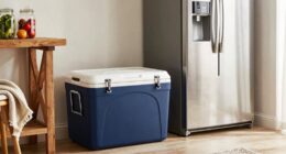 premium coolers remain relevant