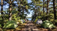 secluded ambiance despite crowds