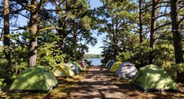 secluded ambiance despite crowds