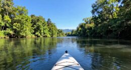simple enjoyable water trips
