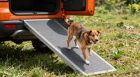 suv ramps for dog access
