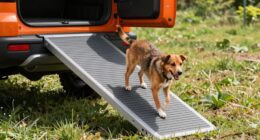 suv ramps for dog access
