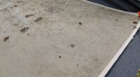 tent floor maintenance tips