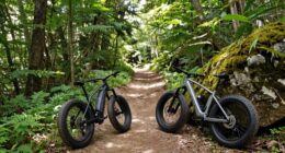 versatile durable adventure bikes