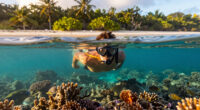Turtle Island, Fiji (General), Fiji Surges In Global Coverage