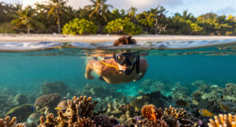 Turtle Island, Fiji (General), Fiji Surges In Global Coverage