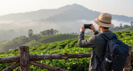Doi Mae Salong, Chiang Rai, Thailand Surges In Global Coverage