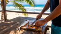 Sunshine Coast, Queensland, Australia Surges In Global Coverage