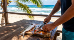 Sunshine Coast, Queensland, Australia Surges In Global Coverage