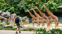 Zoologischer Garten Berlin