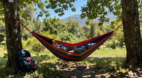 15 Best Outdoor Camping Hammocks for 2026