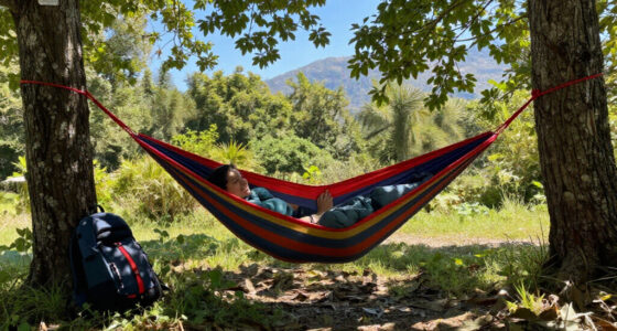 15 Best Outdoor Camping Hammocks for 2026