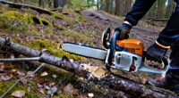 15 Best Mini Chainsaws in 2027