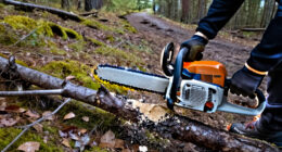 15 Best Mini Chainsaws in 2027