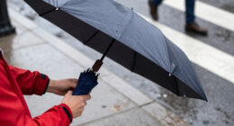 15 Best Travel Umbrellas for 2027