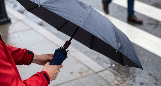 15 Best Travel Umbrellas for 2027