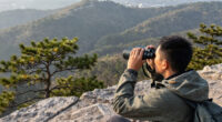 Vortex Viper HD 10X42 Roof Prism Binoculars $319 + Free S&H