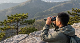Vortex Viper HD 10X42 Roof Prism Binoculars $319 + Free S&H